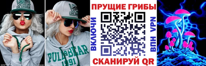 сайты даркнета формула  цена наркотик  Оха  Галлюциногенные грибы Psilocybe 